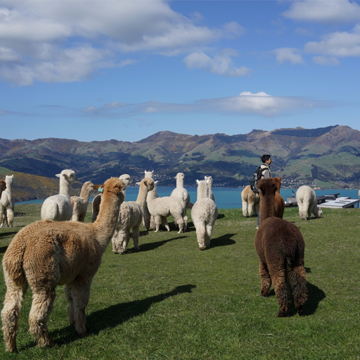 小程序,企業(yè)移動(dòng)辦公,OA,網(wǎng)站建設(shè),連云港網(wǎng)站,連云港網(wǎng)站開(kāi)發(fā)，系統(tǒng)開(kāi)發(fā)，微信開(kāi)發(fā)，微信公眾號(hào)，微信企業(yè)號(hào)，微信訂閱號(hào)，微信服務(wù)號(hào)開(kāi)發(fā),微教育